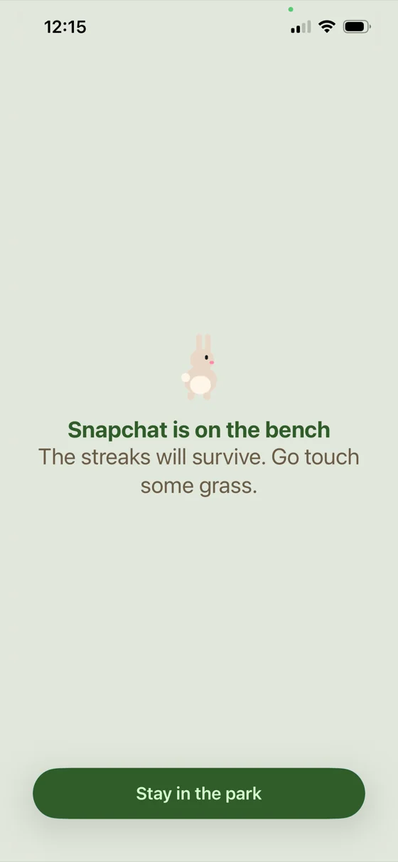 Parkbench block screen for Snapchat: a rabbit with “The streaks will survive. Go touch some grass.”